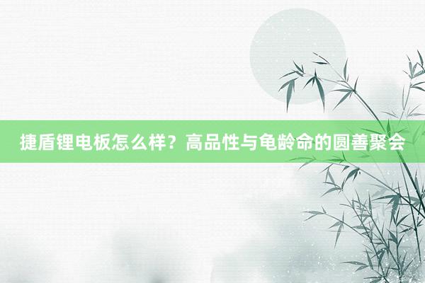 捷盾锂电板怎么样？高品性与龟龄命的圆善聚会